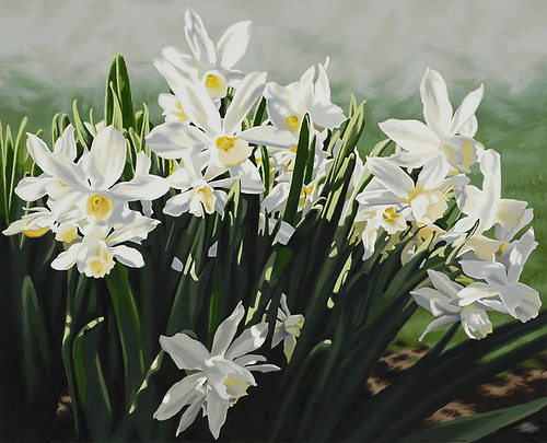 Hoa thủy tiên,hoa ngày Tết,Narcissus,sự tích hoa Thủy Tiên ngày Tết,Tết,Tết Nguyên đán