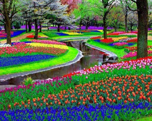 Những khu vườn đẹp nhất thế giới,vườn Keukenhof, Hà Lan