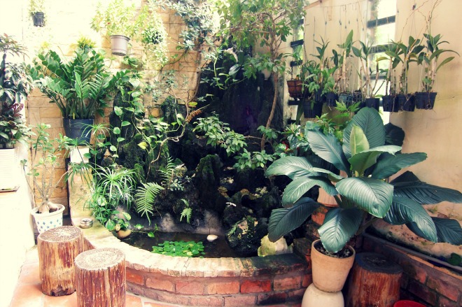 Sân vườn tiểu cảnh