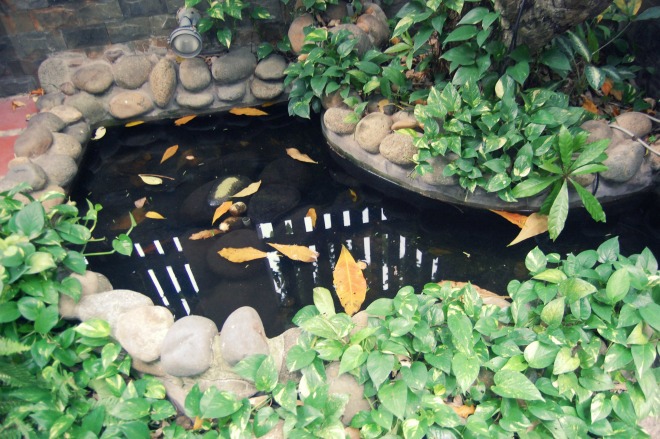 Sân vườn tiểu cảnh