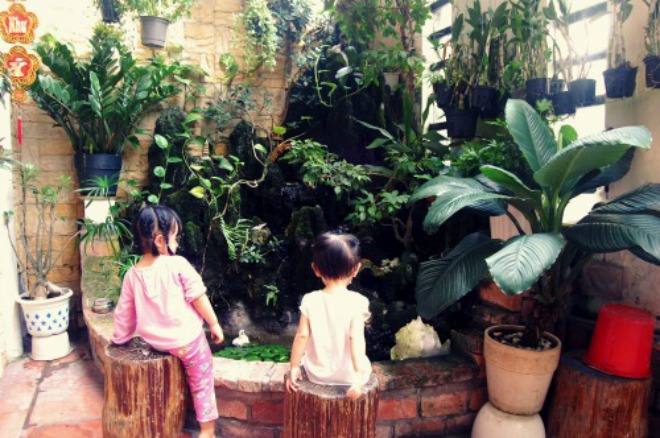 Sân vườn tiểu cảnh