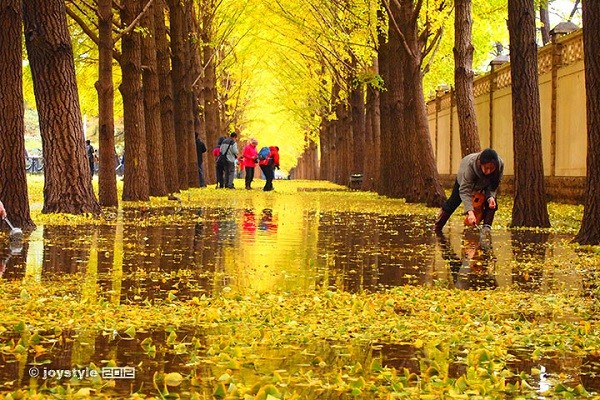 Đại lộ Diaoyutai, Trung Quốc
