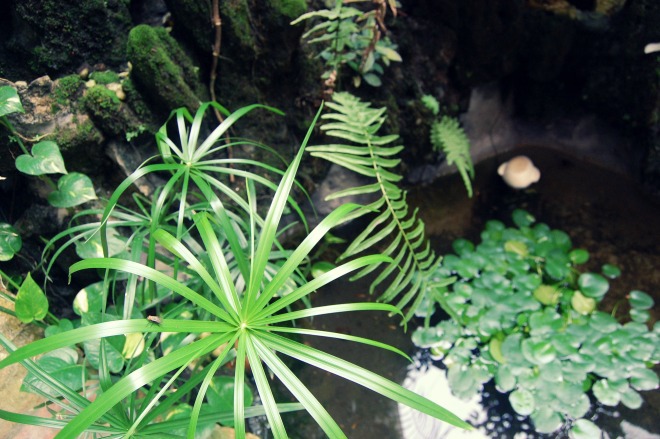 Sân vườn tiểu cảnh