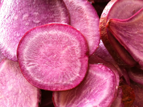 Khoai lang,Ipomoea batatas,củ khoai lang,các loại khoai lang,khoai lang tím,khoai lang ruột đỏ,khoai lang ruột vàng,công dụng y học của khoai lang,tác dụng của khoai lang,khoai lang Hoàng Long,khoai lang lệ cần,khoai lang tím Nhật,khoai lang tím Nhật ở Bình Tân,họ bìm bìm,Ipomoea,Convolvulaceae