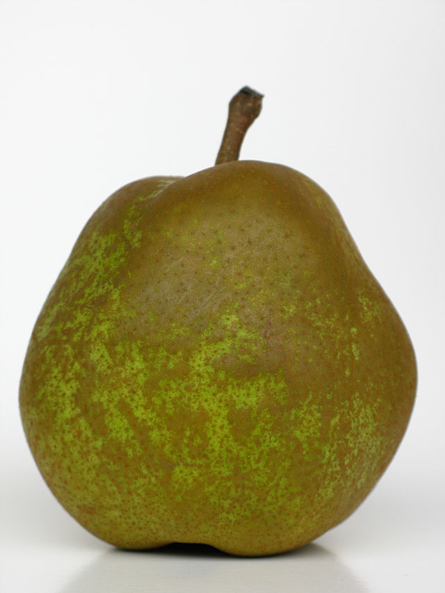 Cây lê,quả lê,Pyrus