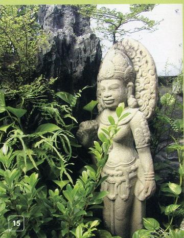 Cây xanh theo phong thủy
