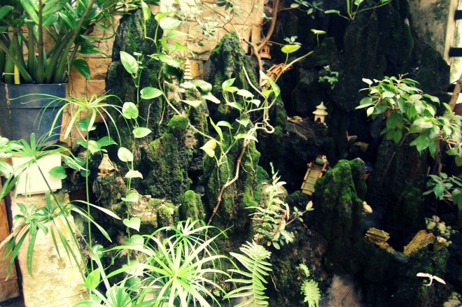 Sân vườn tiểu cảnh