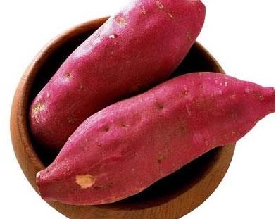 Khoai lang,Ipomoea batatas,củ khoai lang,các loại khoai lang,khoai lang tím,khoai lang ruột đỏ,khoai lang ruột vàng,công dụng y học của khoai lang,tác dụng của khoai lang,khoai lang Hoàng Long,khoai lang lệ cần,khoai lang tím Nhật,khoai lang tím Nhật ở Bình Tân,họ bìm bìm,Ipomoea,Convolvulaceae