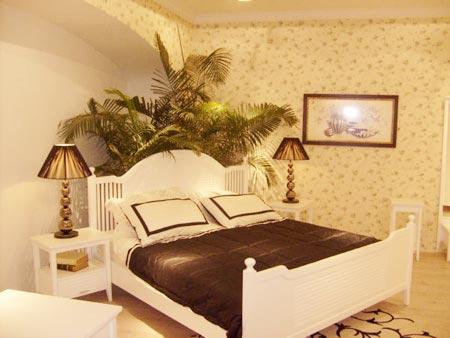 Nên trồng những cây không cần tưới nhiều nước