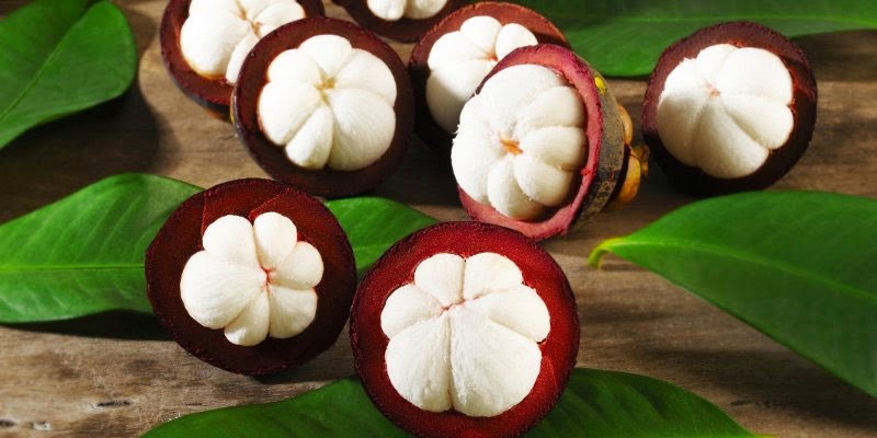 Măng cụt,cây măng cụt,Garcinia mangostana,họ bứa,Clusiaceae,cây ăn quả