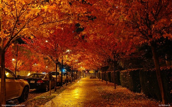 Đường phố ở Vancouver, Canada