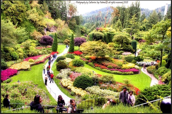 Những khu vườn đẹp nhất thế giới,vườn Butchart, Canada