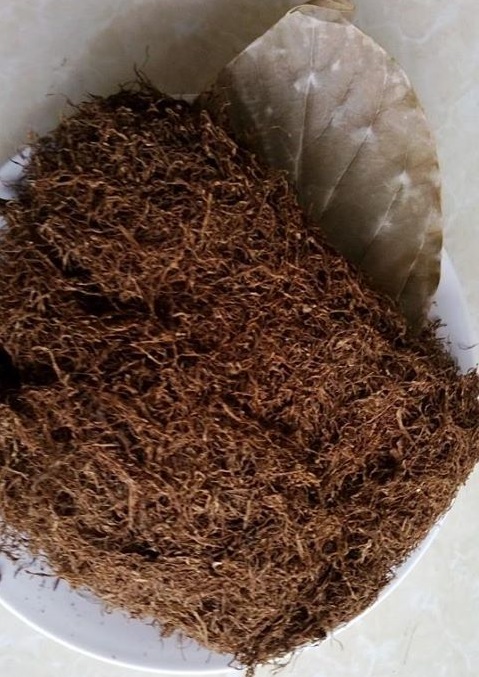 Thuốc lào,Nicotiana rustica,chi thuốc lá,Nicotiana,tác hại của thuốc lào,hút thuốc lào