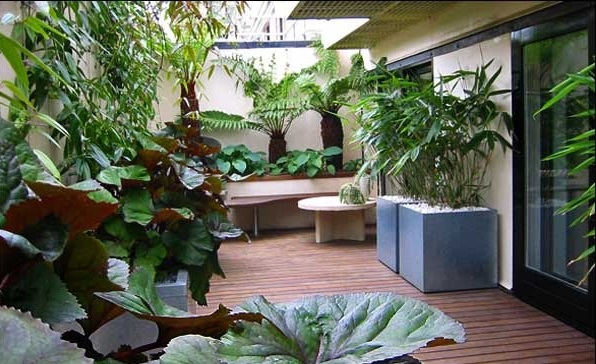 Cây xanh được trang trí đa dạng trên ban công