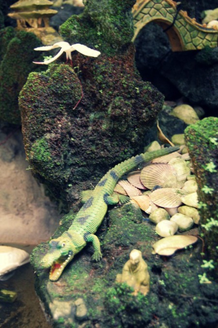 Sân vườn tiểu cảnh