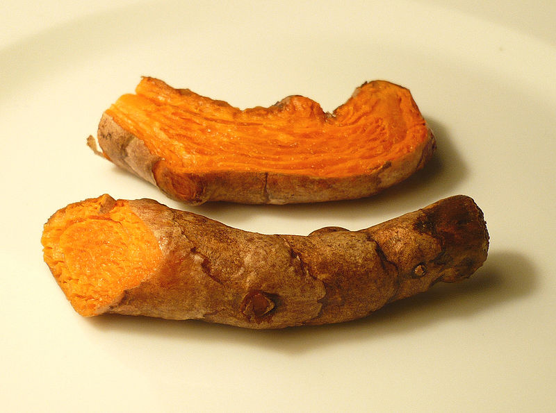 Cây nghệ,nghệ nhà,nghệ trồng,khương hoàng,Curcuma longa,họ gừng,Zingiberaceae,cây thuốc,tác dụng của củ nghệ,củ nghệ làm thuốc,củ nghệ trong ẩm thực