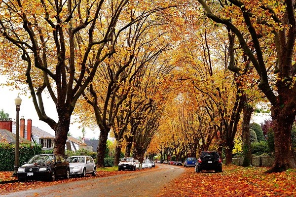 Đường phố ở Vancouver, Canada