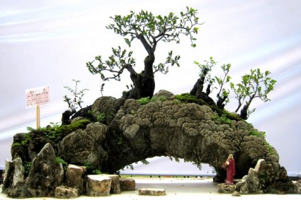 Hòn non bộ mini - mẫu tham khảo 12