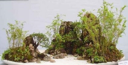 Hòn non bộ mini - mẫu tham khảo 24