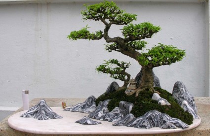 Hòn non bộ mini - mẫu tham khảo 29