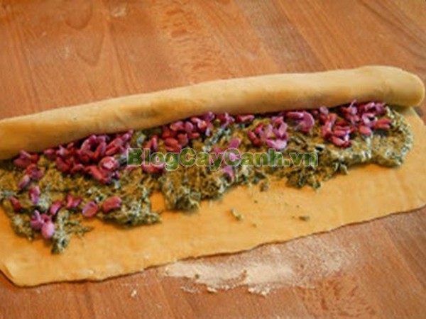 Cây Hoa Hạnh Phúc,cây hoa hạnh phúc, hình ảnh cây hoa hạnh phúc, cây hoa hạnh phúc đẹp, công dụng cây hoa hạnh phúc, cay hoa hanh phuc, cây hạnh phúc,