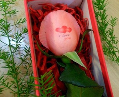 Măng leo trang trí kèm theo hoa hồng