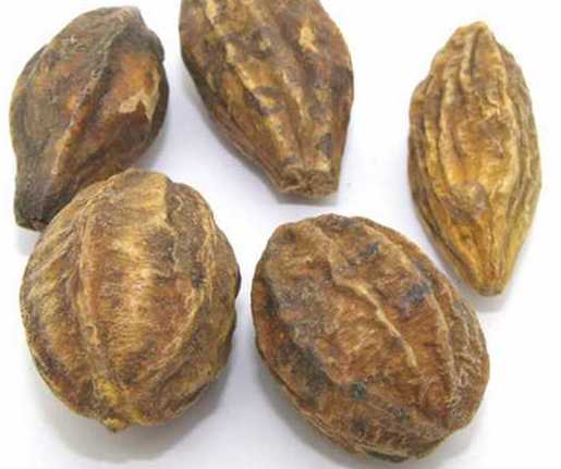 Cây chiêu liêu,chiêu liêu,kha tử,cây tiếu,cây xàng,cây cà lích,cây bana,Terminalia bellirica,chi chiêu liêu,chi bàng,Terminalia,chiêu liêu đen,bàng hôi,bàng mốc,chiêu liêu xanh,choại,xàng tiếu,chiêu liêu ổi,chiêu liêu nghệ,chiêu liêu đỏ,chiêu liêu gân đen,chiêu liêu đồng,tác dụng của chiêu liêu,công dụng của chiêu liêu,công dụng của kha tử,bài thuốc từ chiêu liêu,bài thuốc kha tử,kha tử chữa bệnh,cây làm thuốc